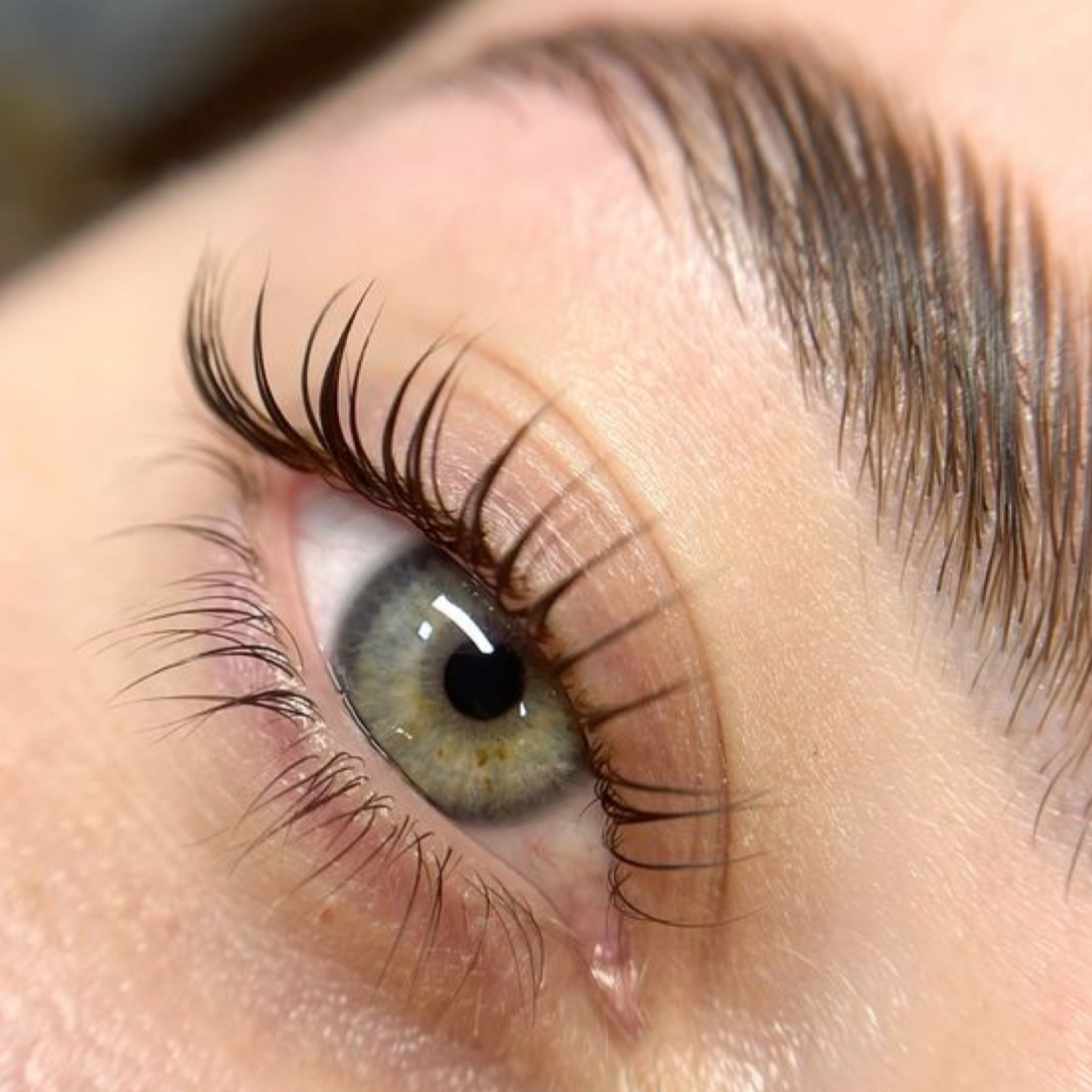 Laminace obočí + řas - 2v1