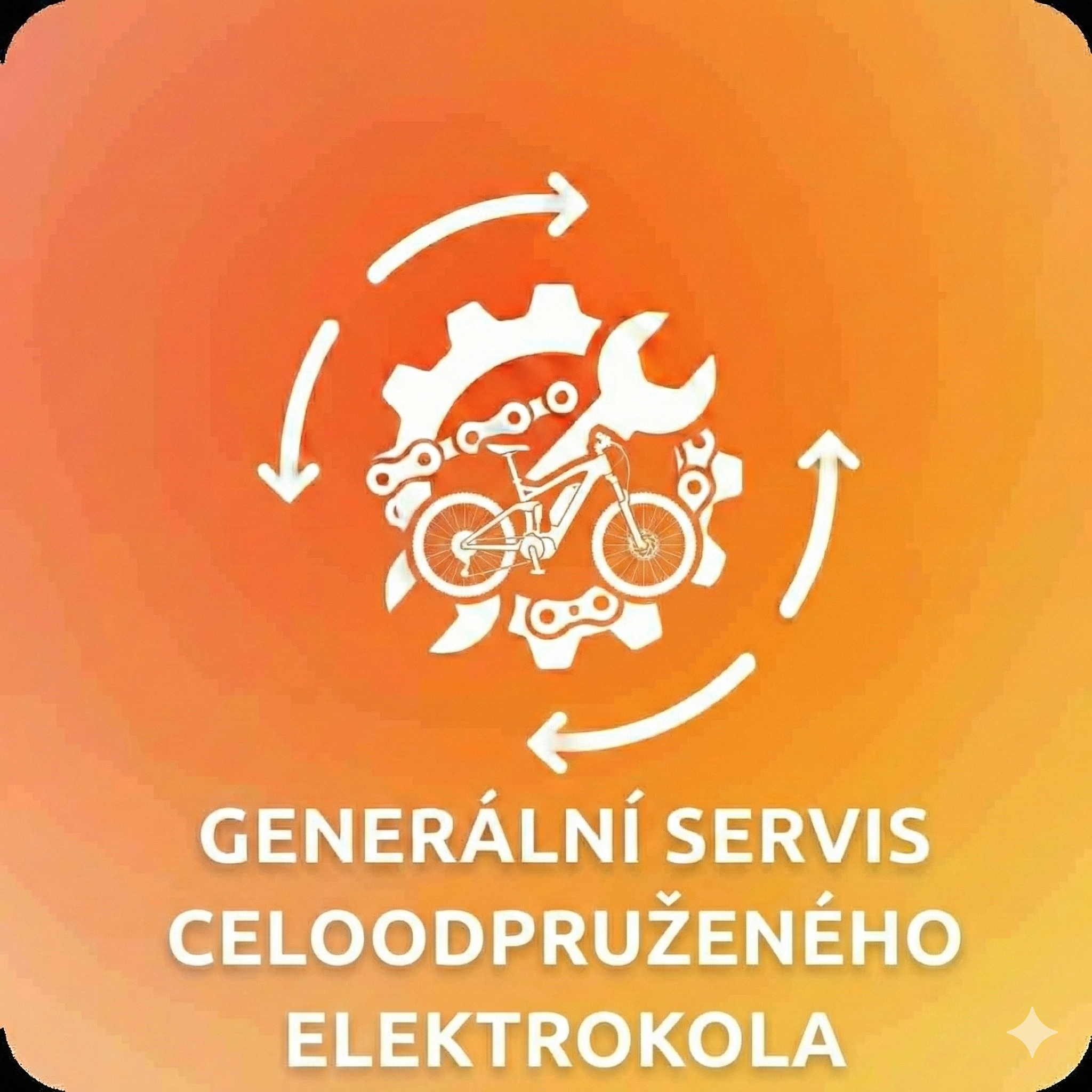 Generální servis celoodpruženého elektrokolola