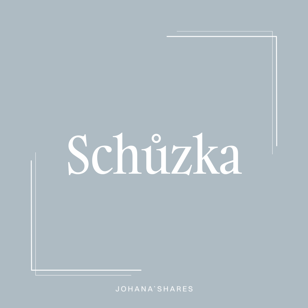 Individuální konzultace (1h)