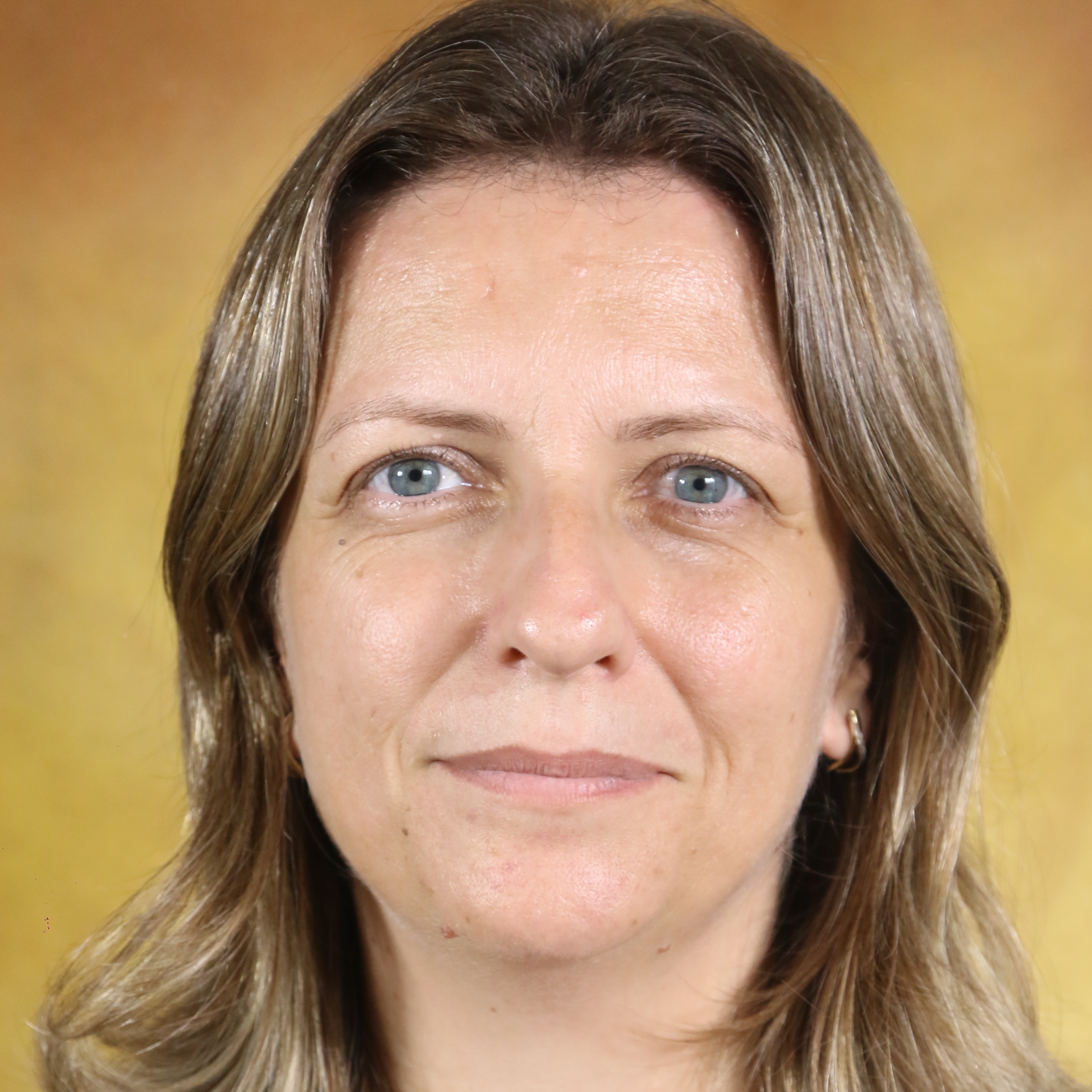 Polivalente 4º ano A | Terezinha Aparecida Gerolim de Aquino