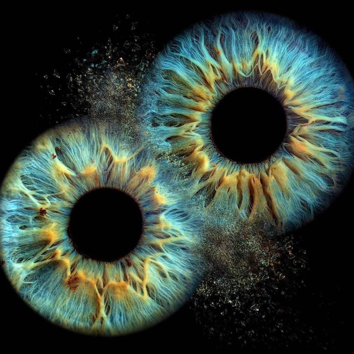 Eye Photography di Coppia ( Foto Iride )