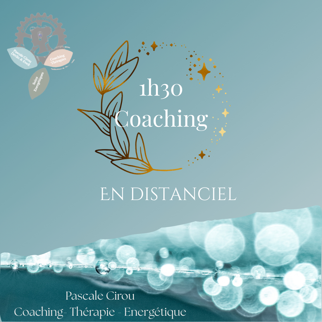 1H30 de Coaching individuel en viso ou téléphone