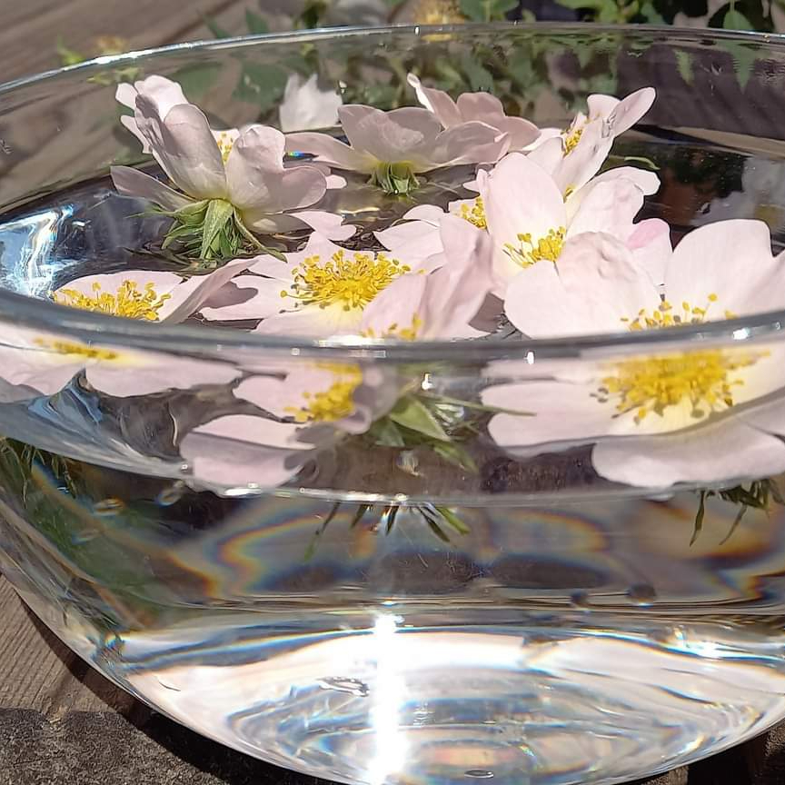 Accompagnement émotionnel - consultation ADULTE