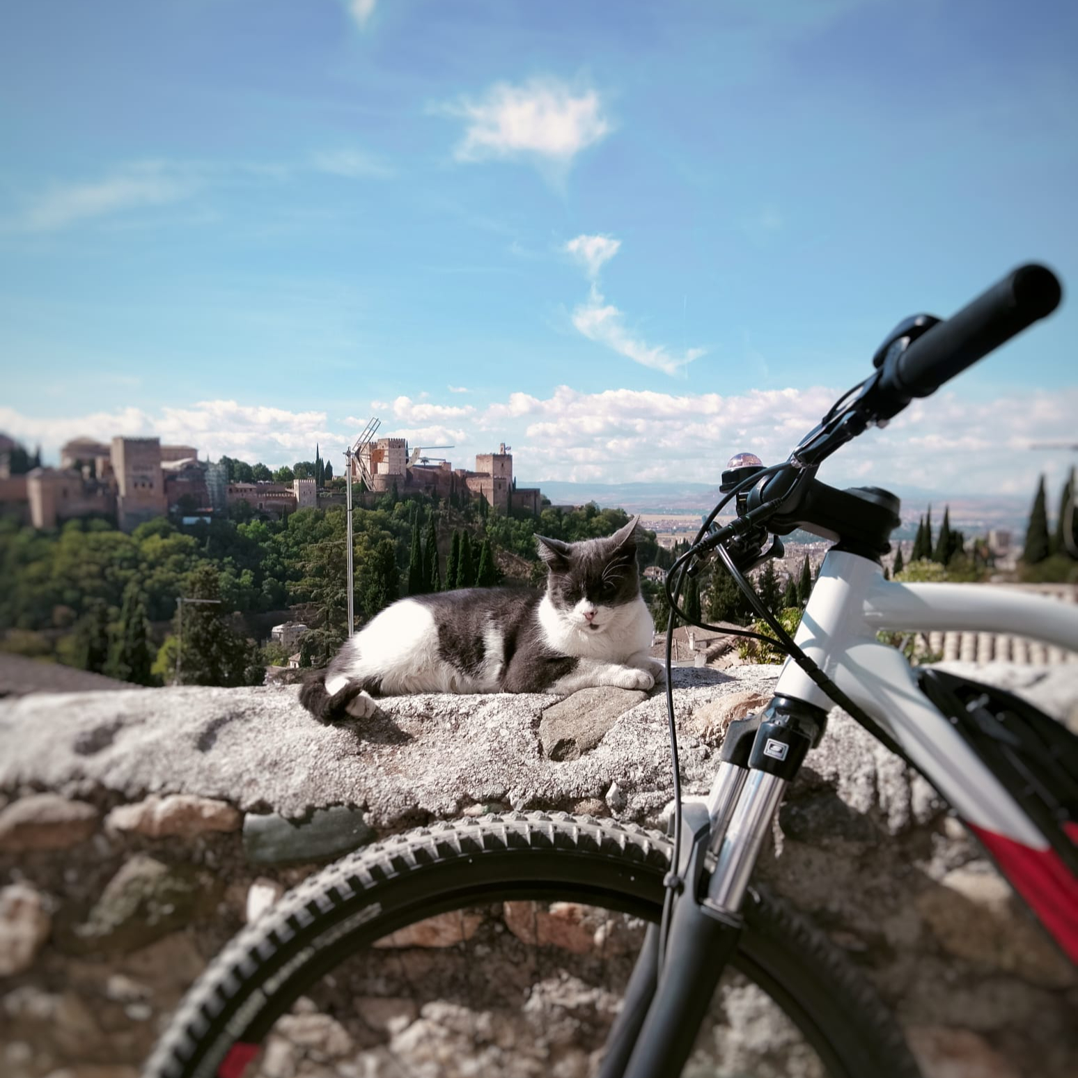 Alquiler de 1 E-bike con Tour incluido