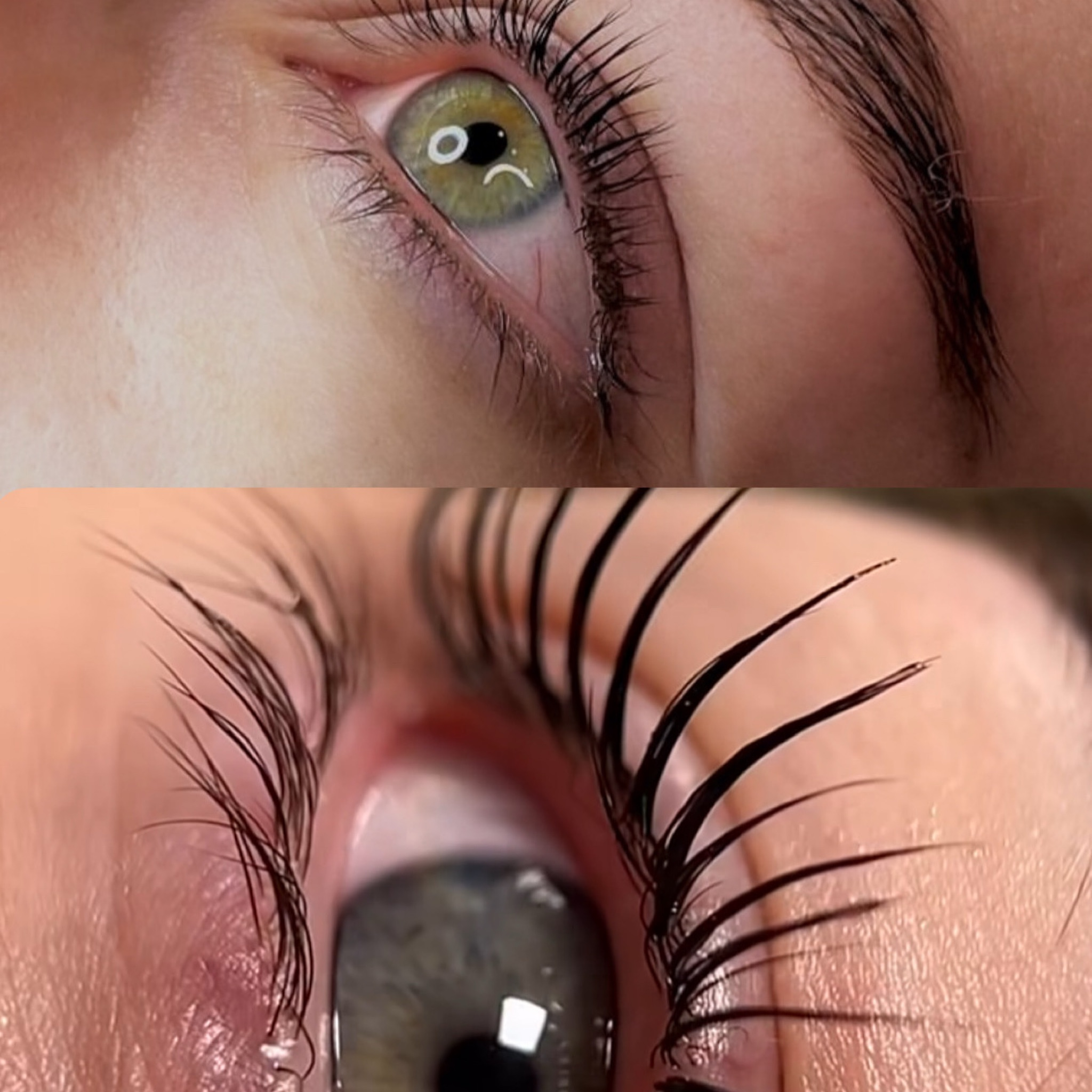 Lash Lifting s barvením