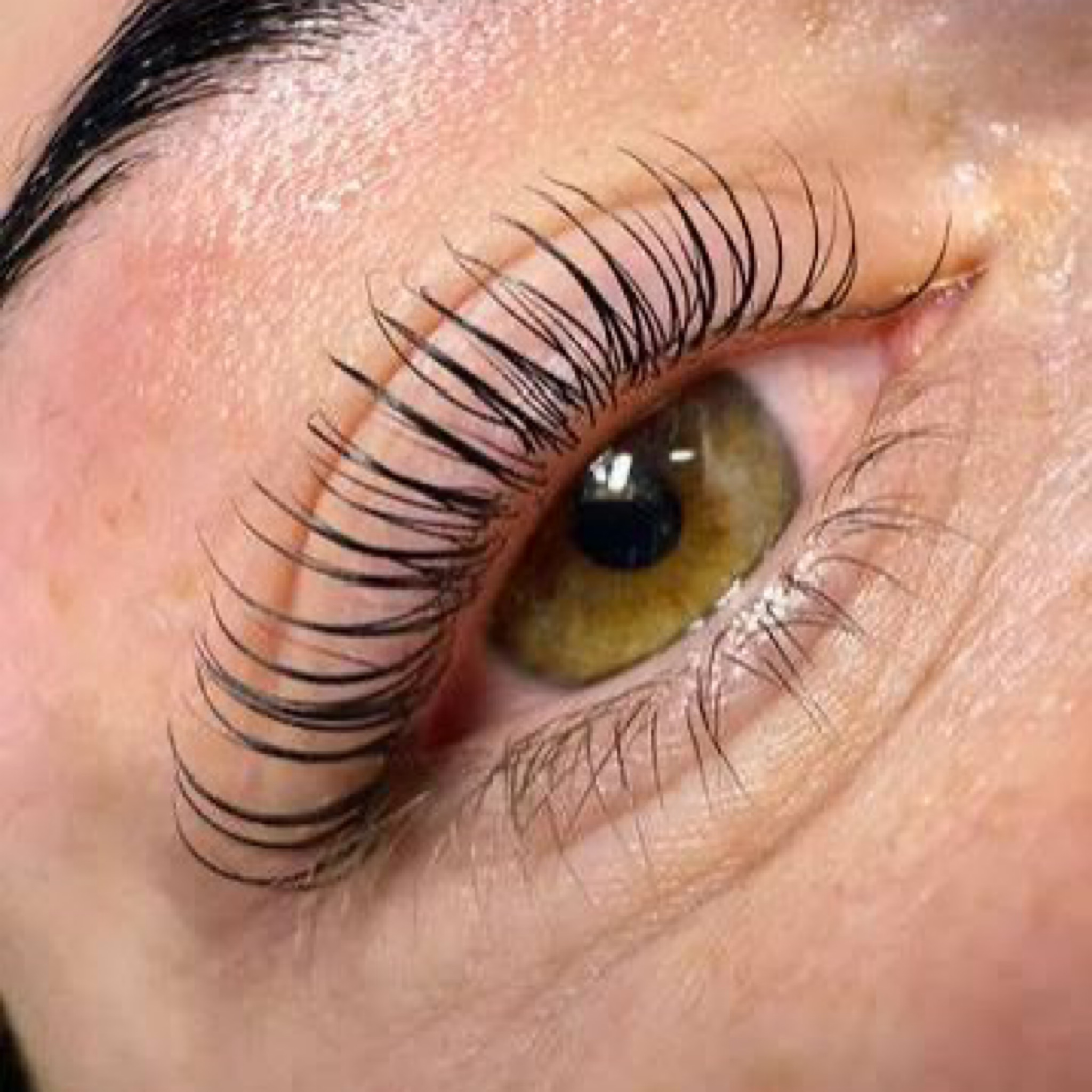 Lash lift coréen