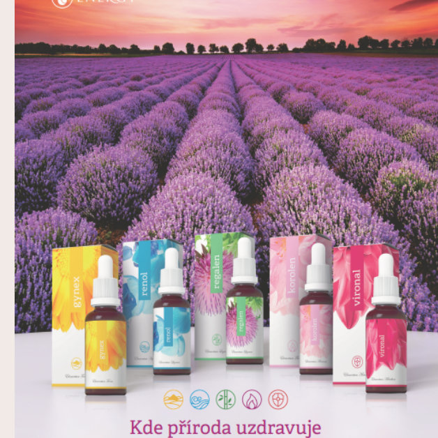 Konzultace k produktům Energy a prodej