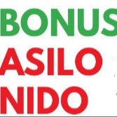 BONUS ASILO NIDO
