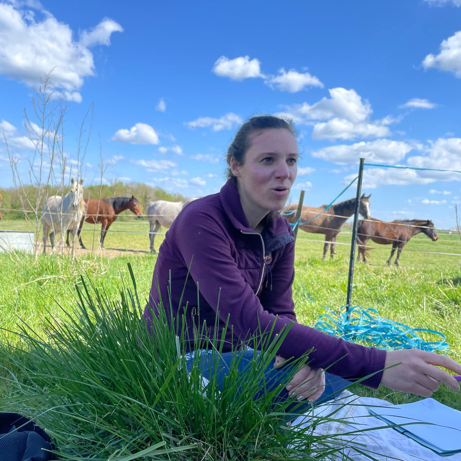 Appel gratuit de renseignement