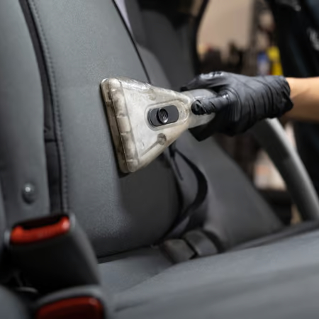 Complete Interior (XL)