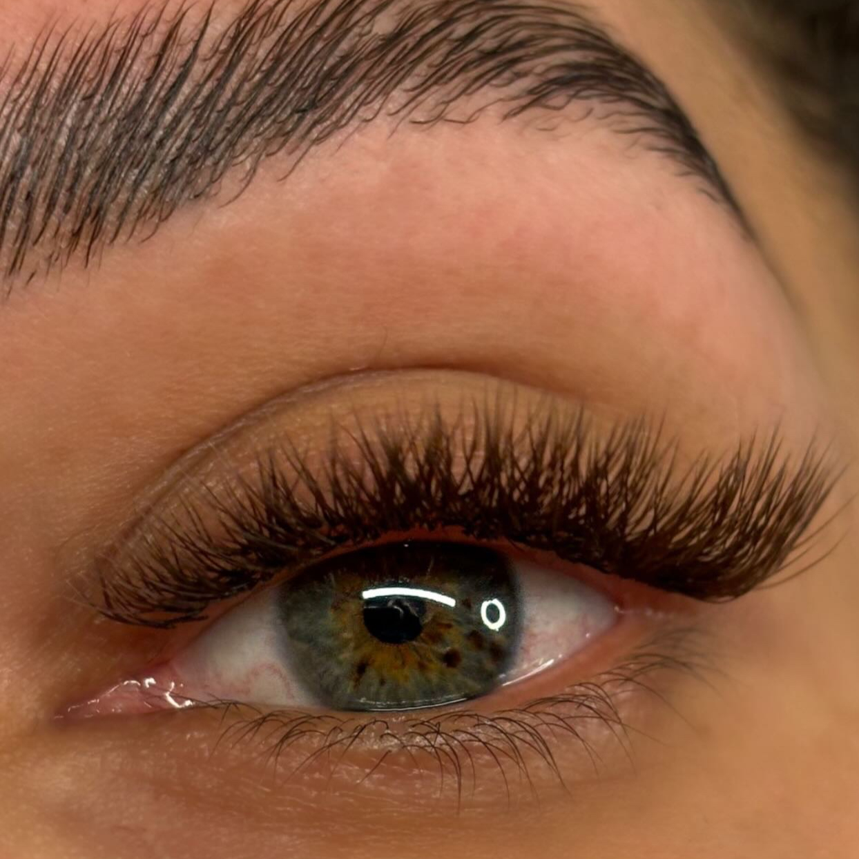 Volume Fox -Eyes