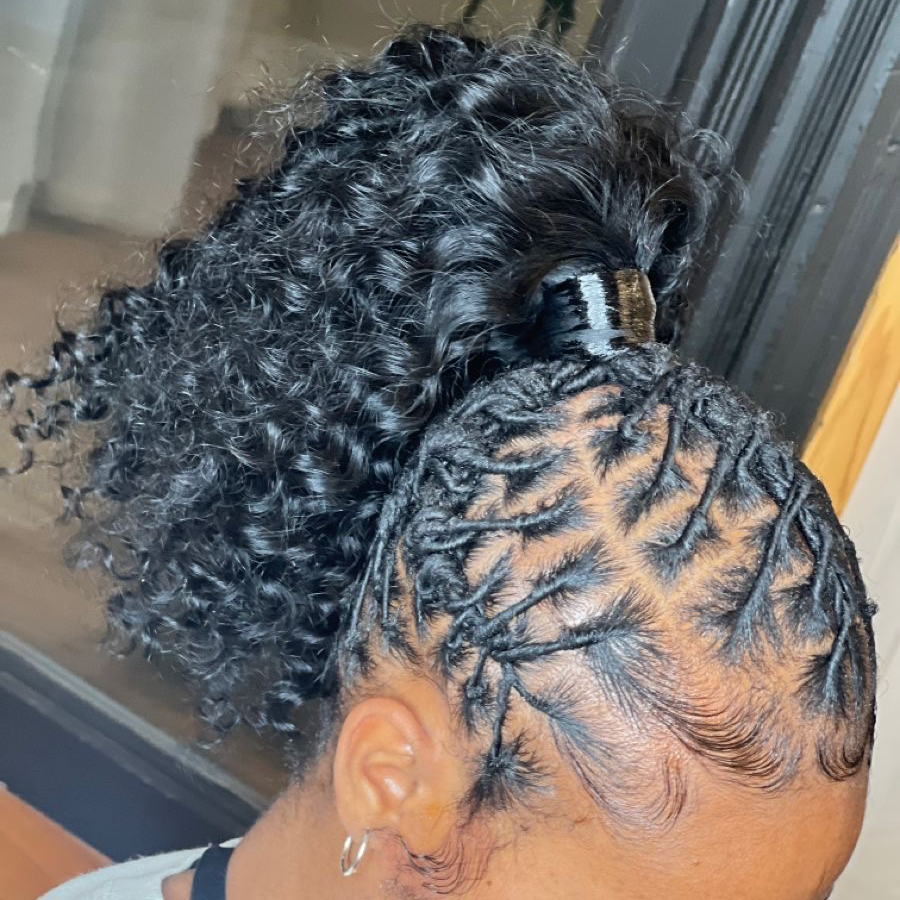 Ponytail sur locks