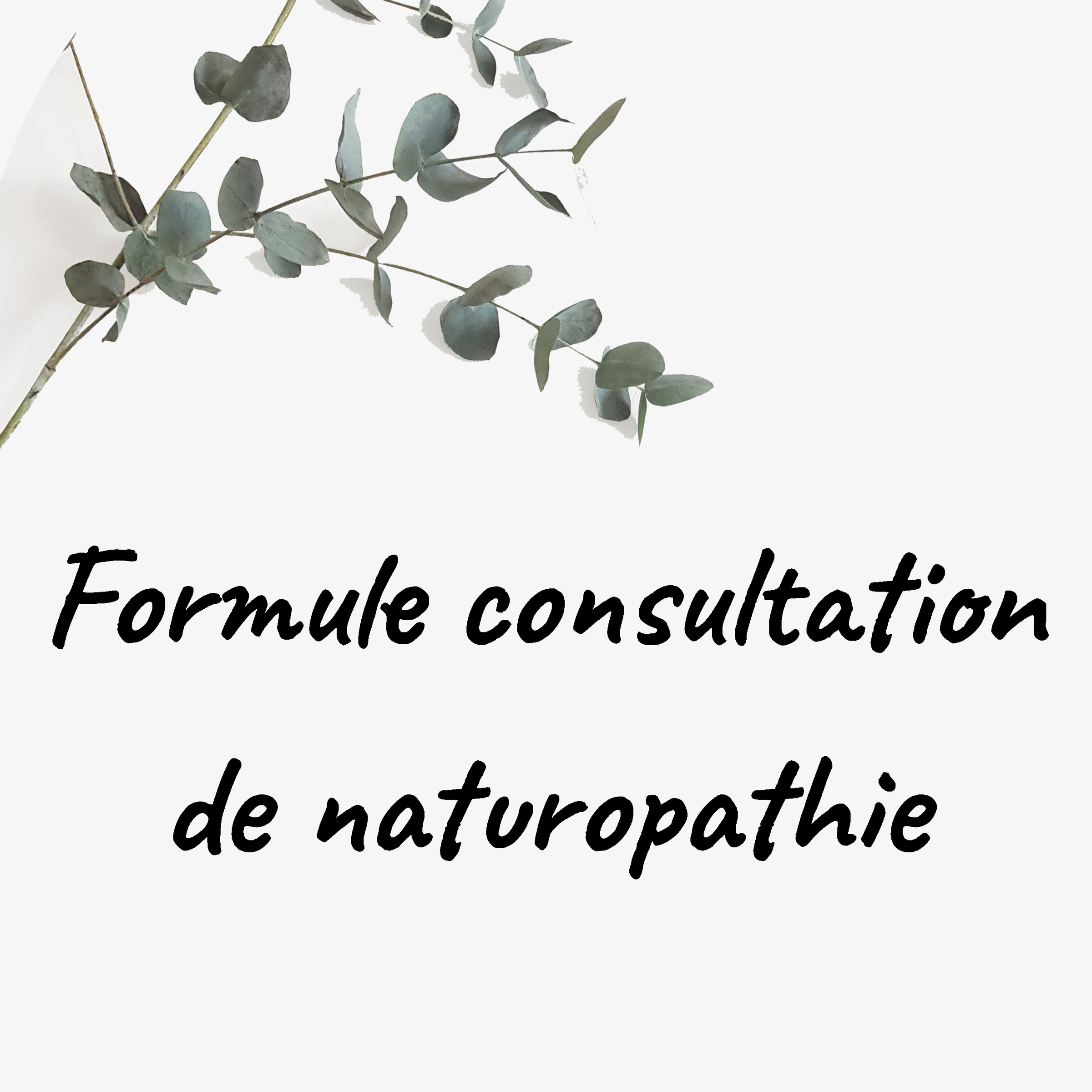 Formule Naturo: 1ere consultation + iridologie + massage du vent