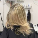 Half Head of Highlights + Toner