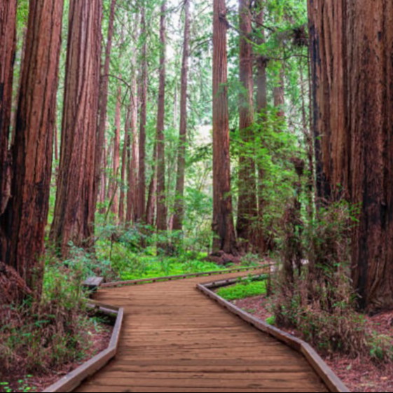 "coup de pouce" Séance à l'unité.