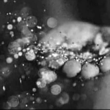 Eveil des sens - 10'