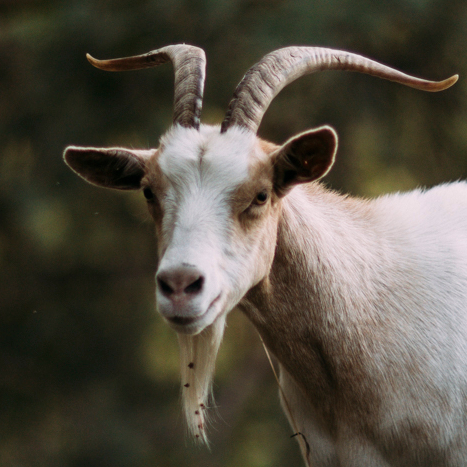 Dvouhodinová masáž