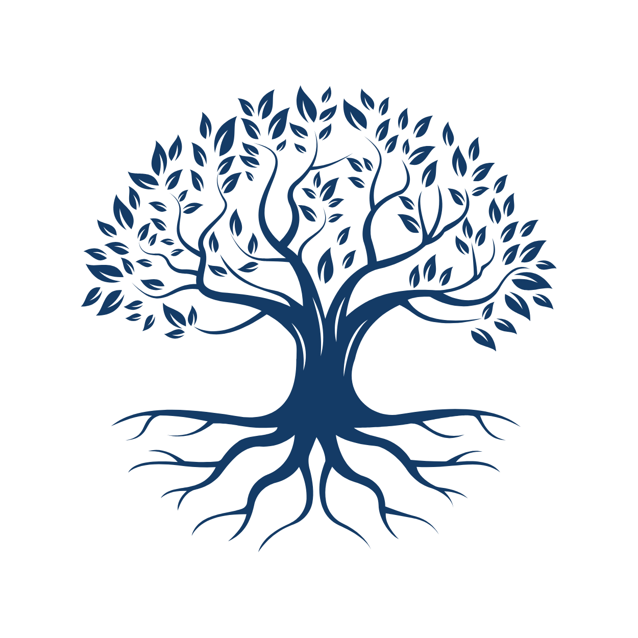 Séance KLAI à distance (visio Team 2h)