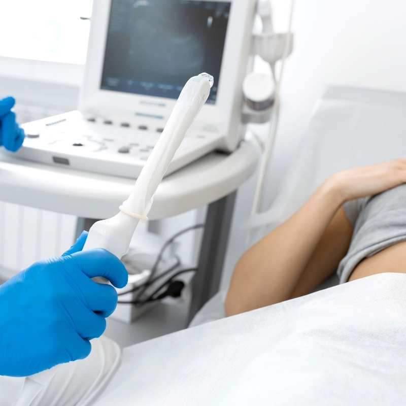 Ecografia Pelvica o Transvaginale