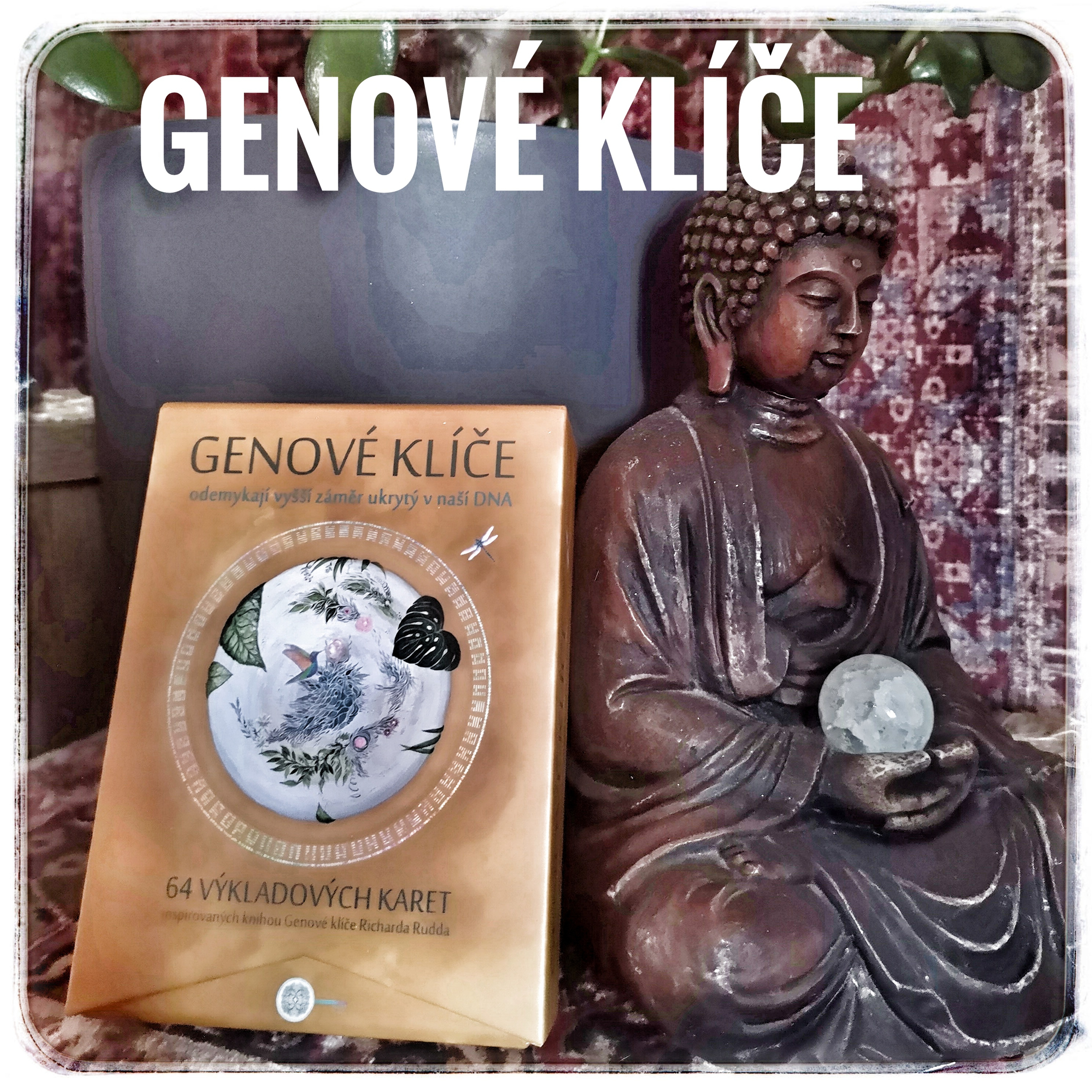 Genové klíče 90min