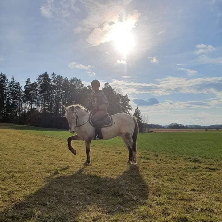 Uteritt+20min stallsysslor