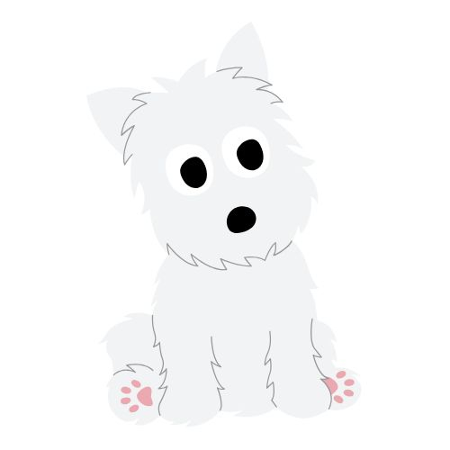 White Terrier (Westie)