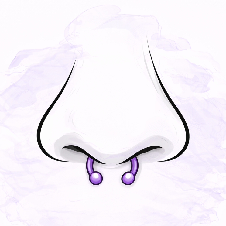 Septum (od 16 let s písemným souhlasem rodiče)