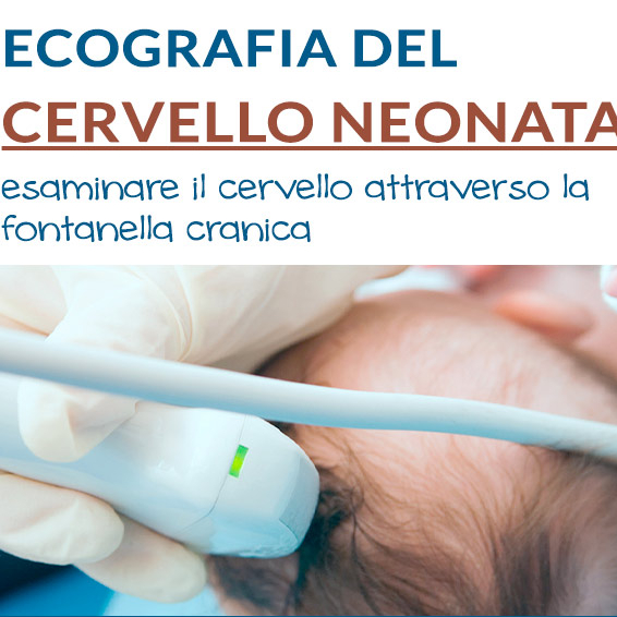 Fontanella (Encefalo-Cerebrale)