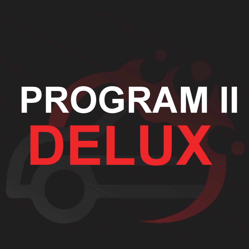 Program č. 2 Kompletní čištění (Mokré čištění/tepování) DELUX