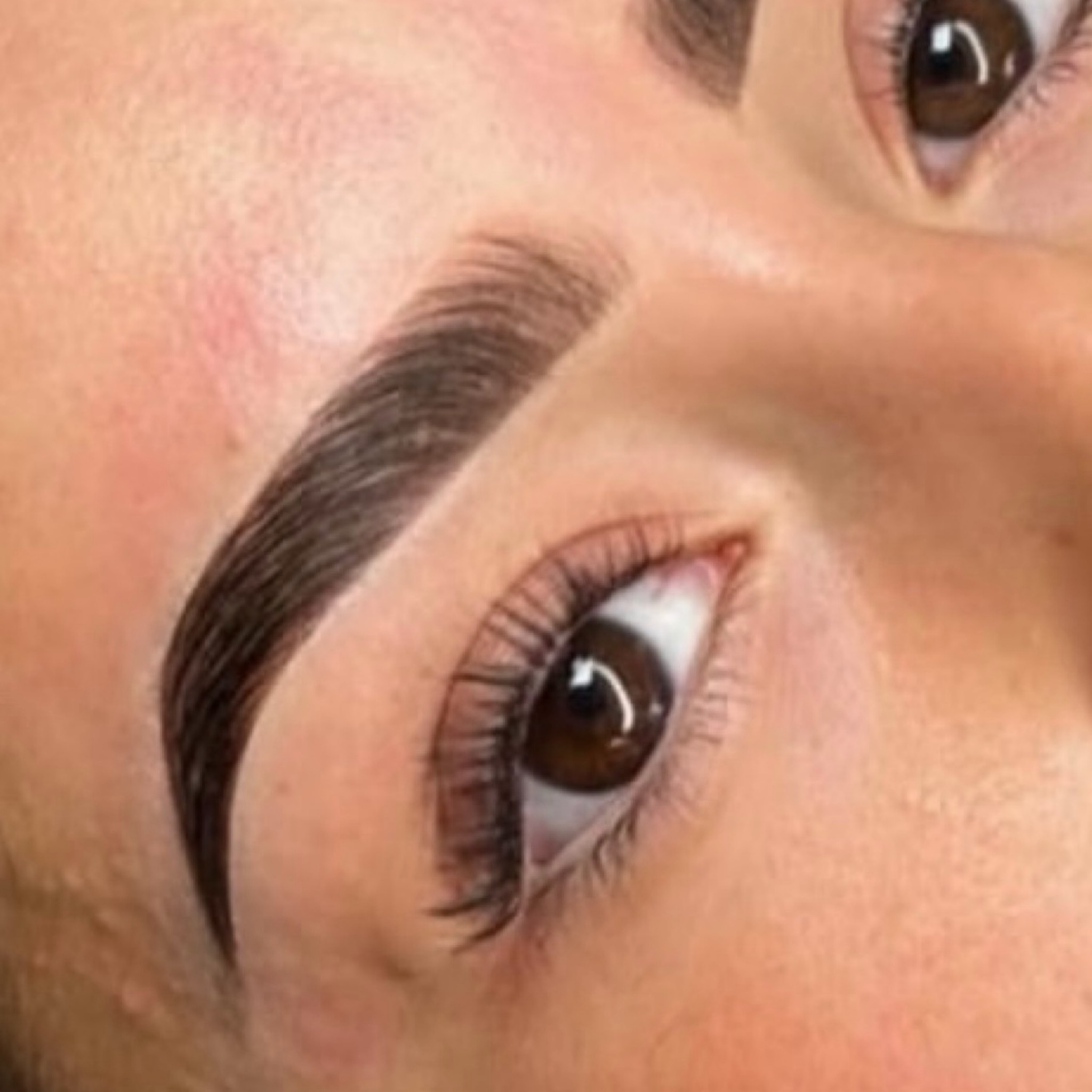 Brow lamination + Wax + Tint