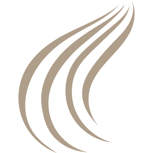 Ricostruzione con Trattamenti Vapore