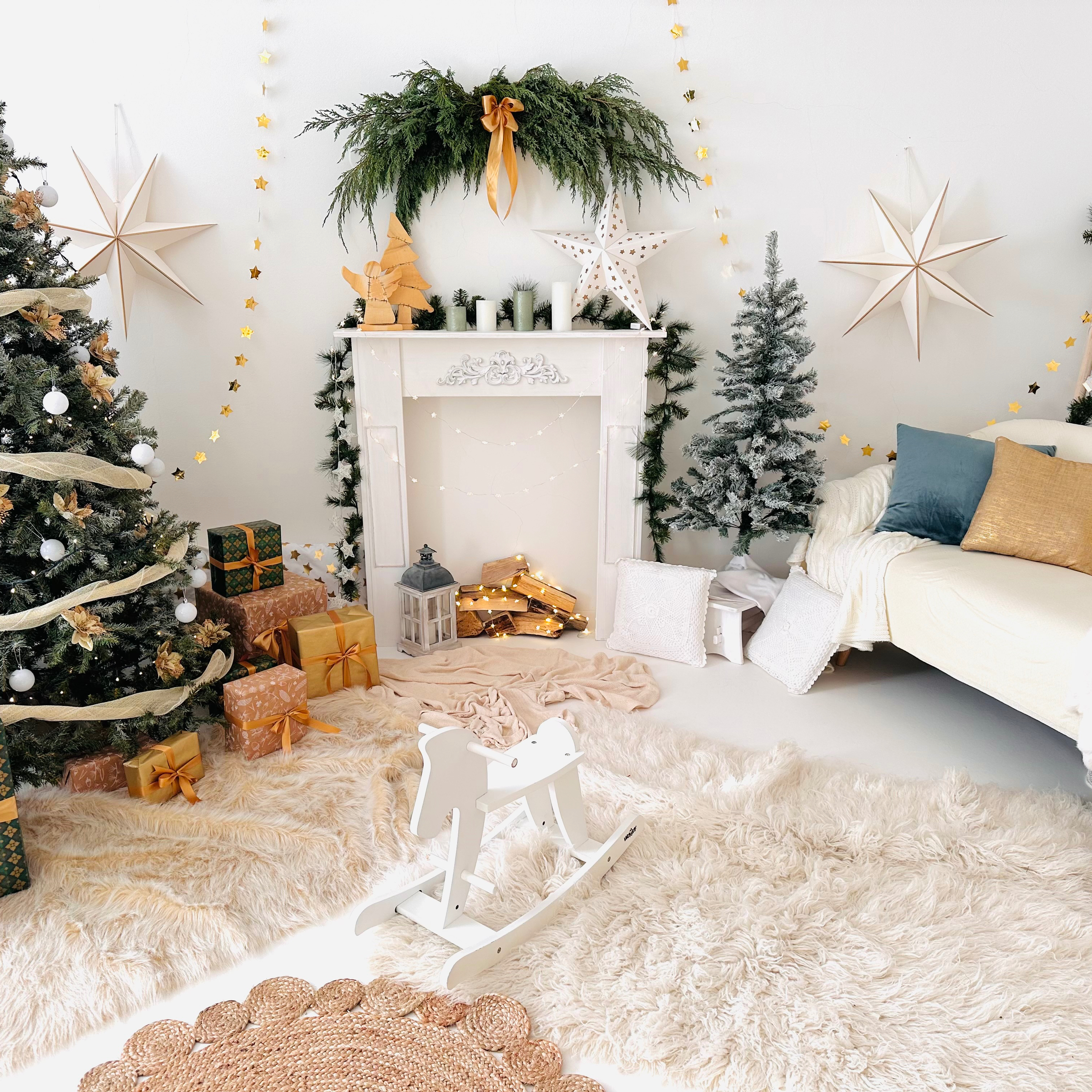 VÁNOČNÍ FOCENÍ 30.11.2024