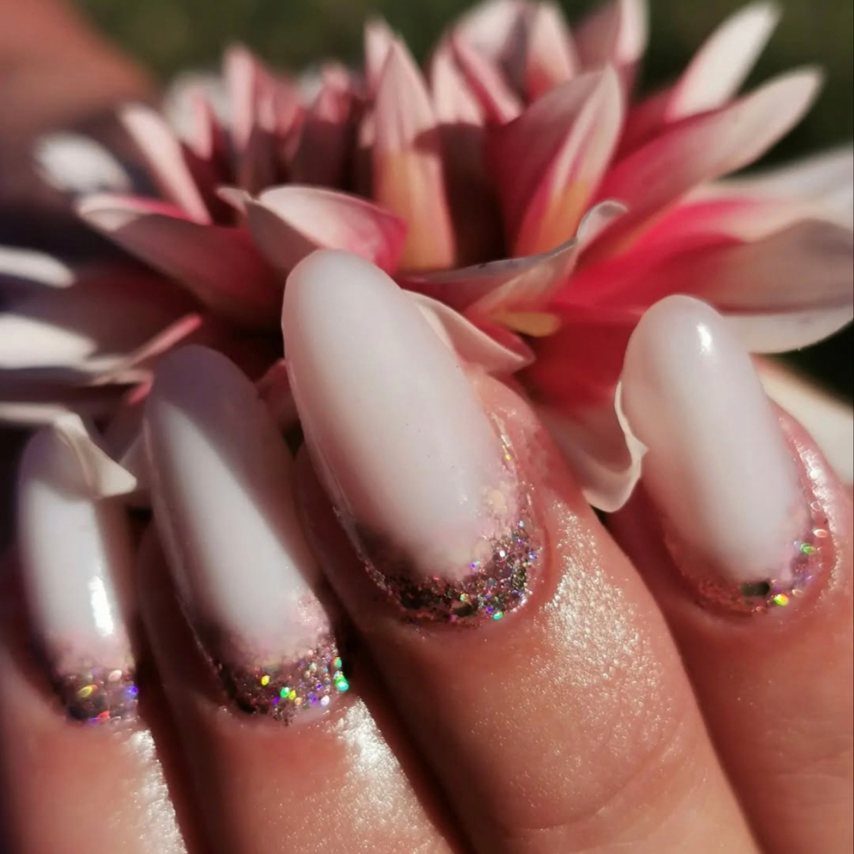 Babyboomer/babycolor/babyglitters/cutiglitters