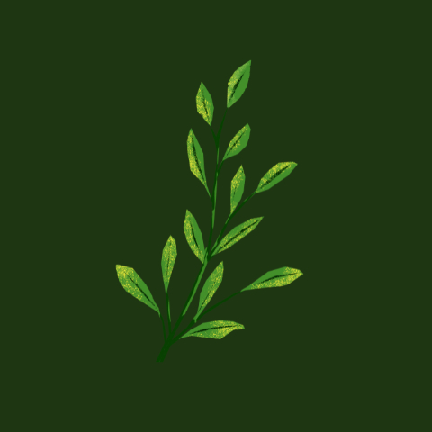 L'Orée du Bien-Être 0h45