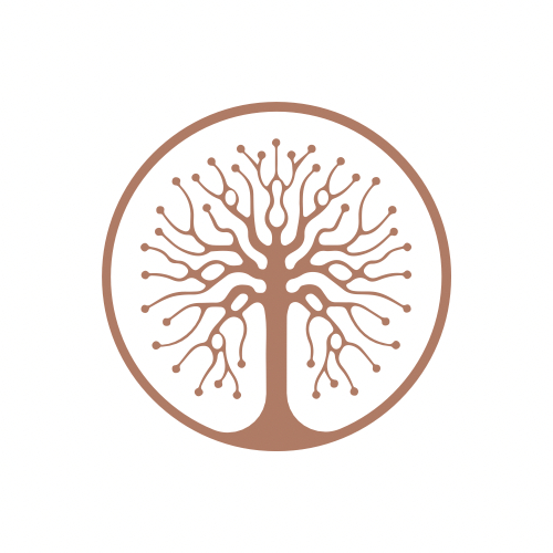 Séance de kinésiologie + Massage Amma