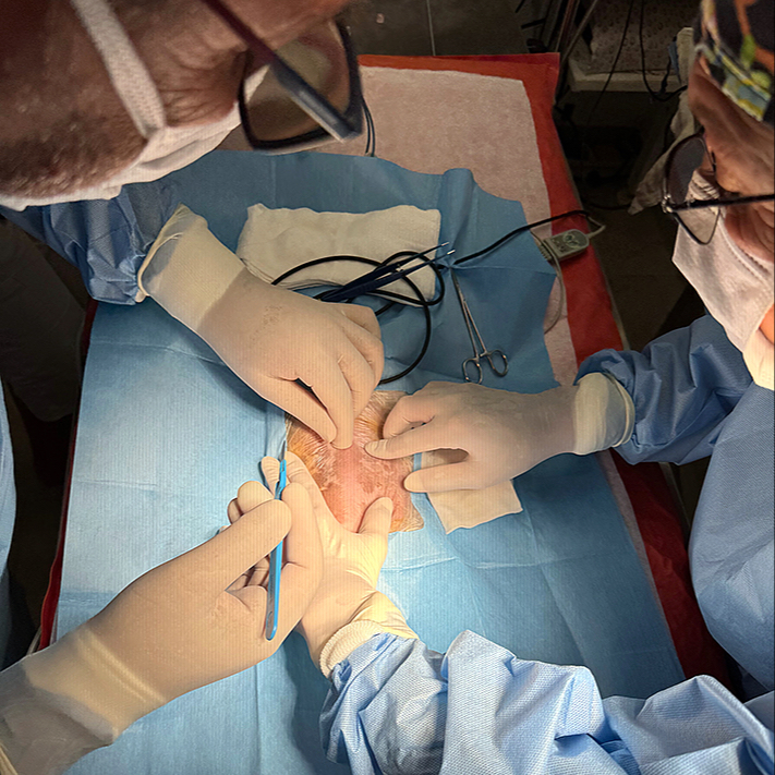 Chirurgie - vstupní vyšetření, předoperační vyšetření, kontrola