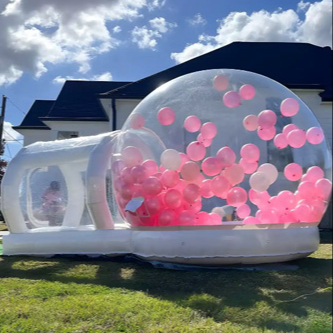 Inflatable Bubble Bounce House: