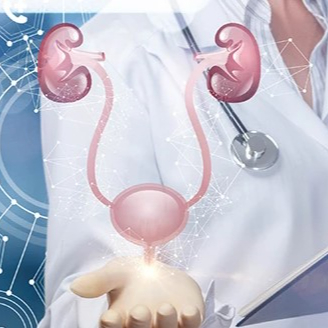 Visita Urologica con Ecografia Apparato Urinario