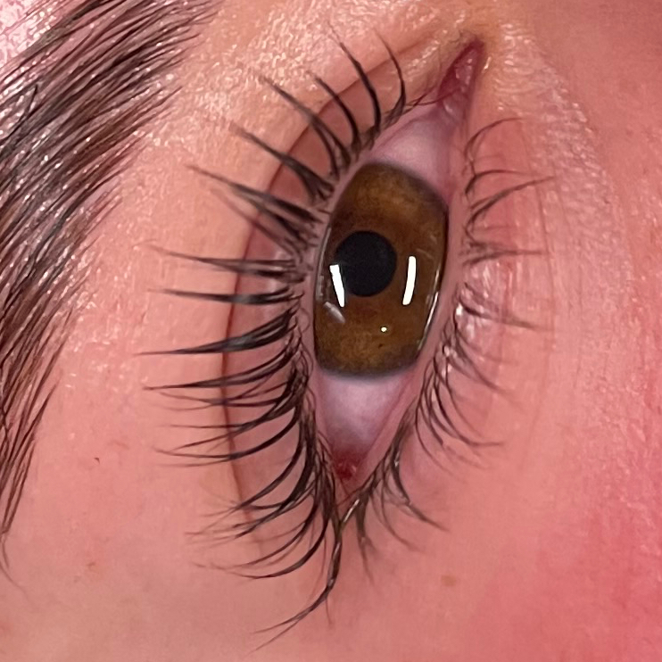 Lash filler + Teinture + Botox