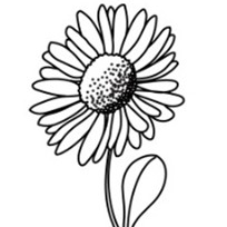 Masáž dolních končetin 30 minut