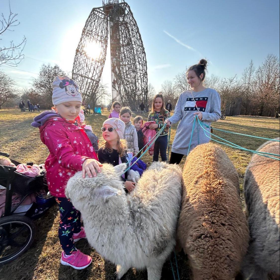 Procházka s alpakou - 1,5 hodiny - Praha - VÍKEND