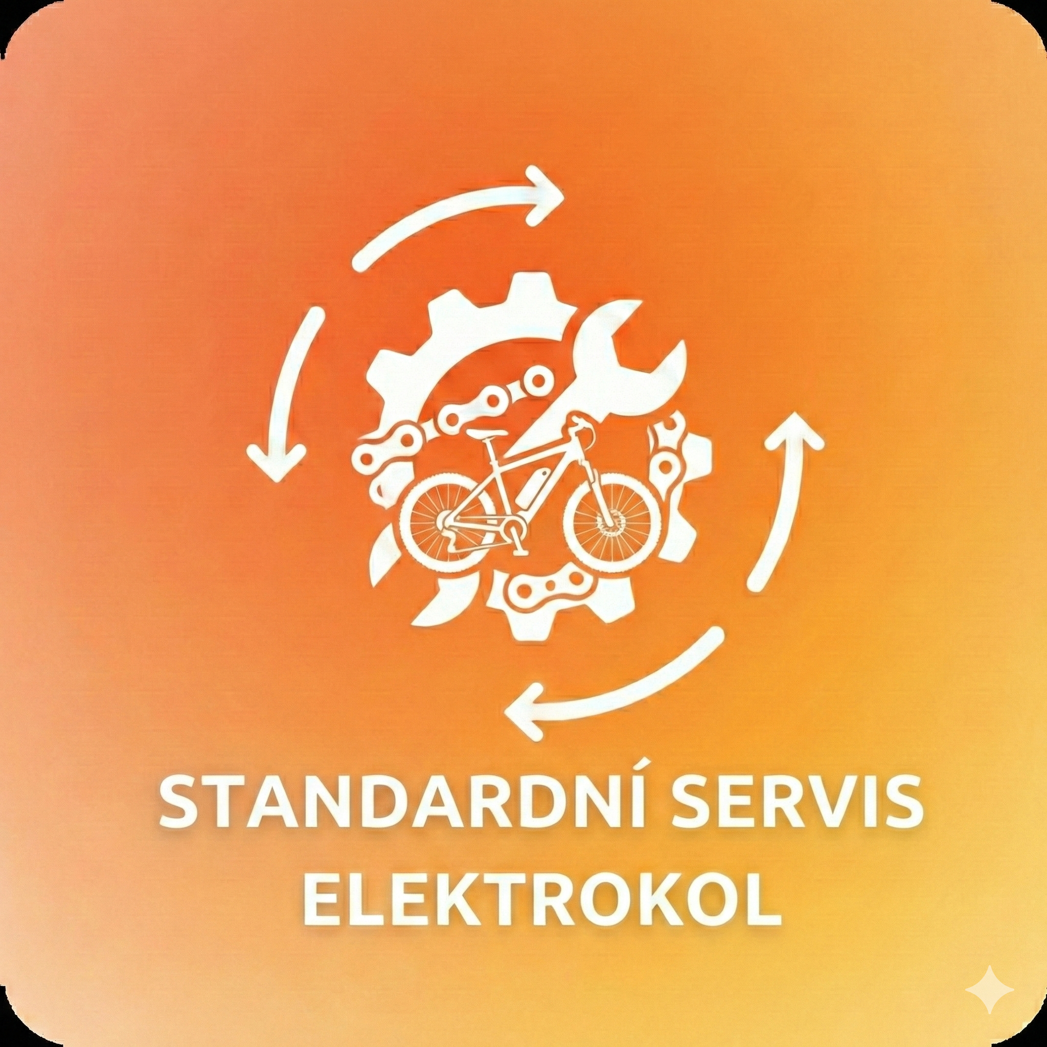 Standardní servis elektrokola
