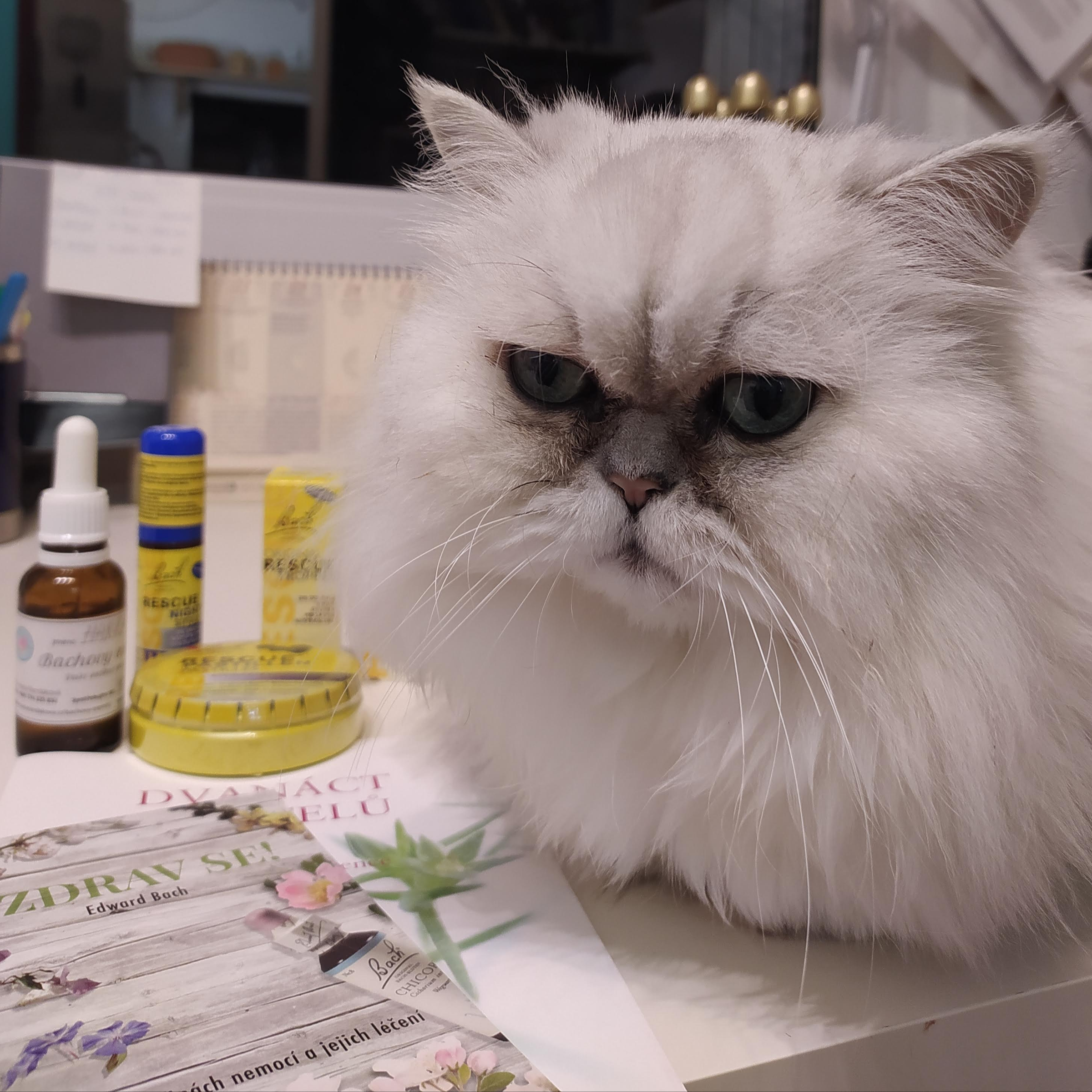 BACHOVY ESENCE pro zvířata (konzultace do 30 minut)