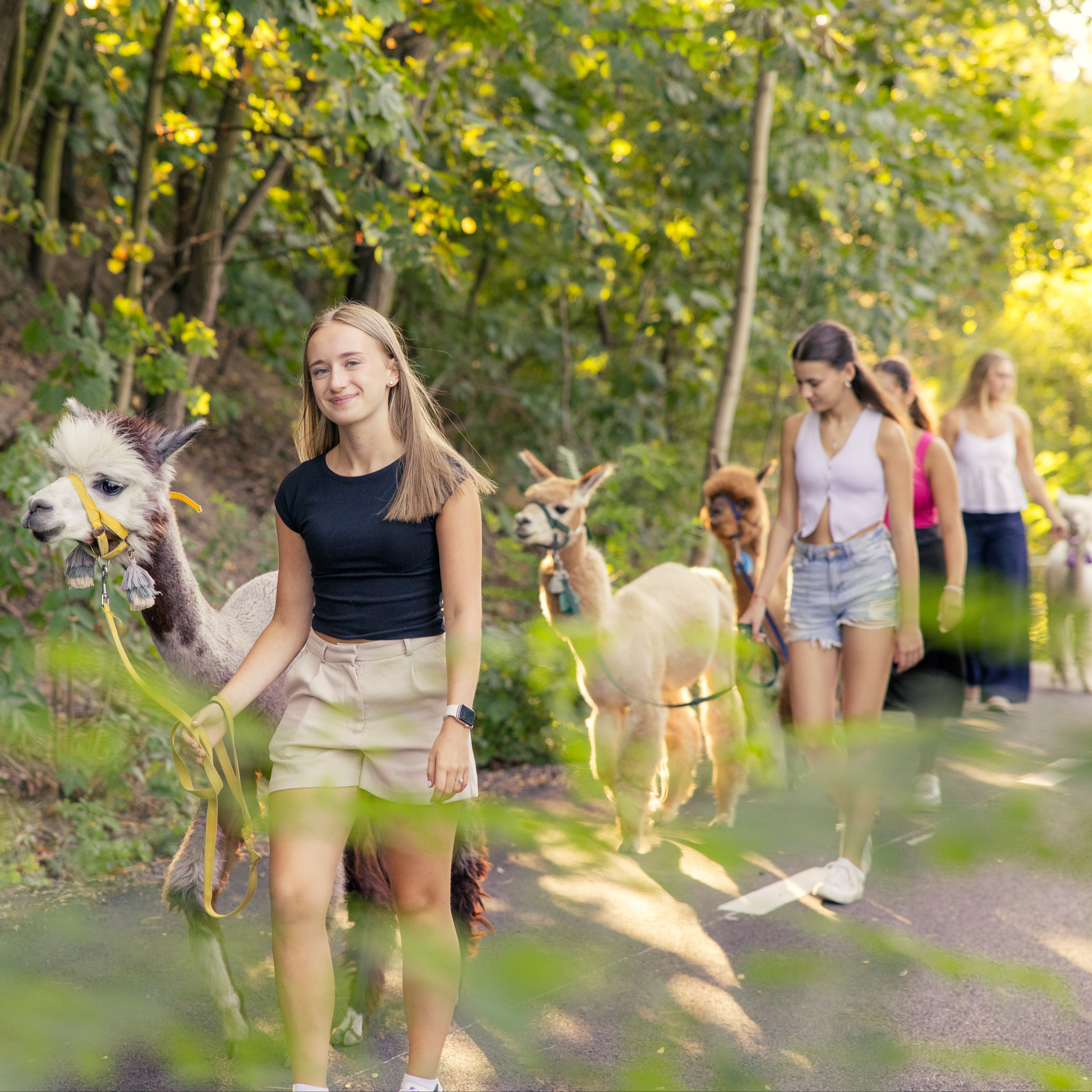 Lamatrekking pro 6 osob