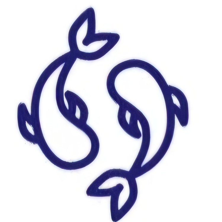 Holistic Massage (50min)