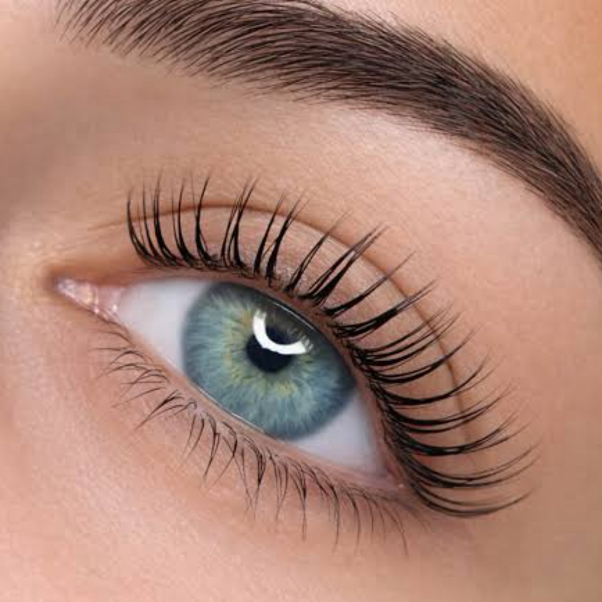 Lash lift + Tint