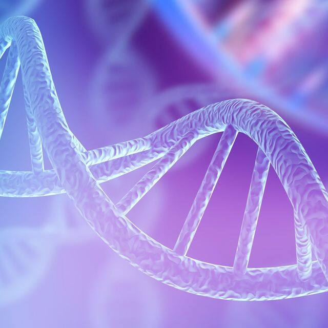 Cellrelease Rebirth ADN