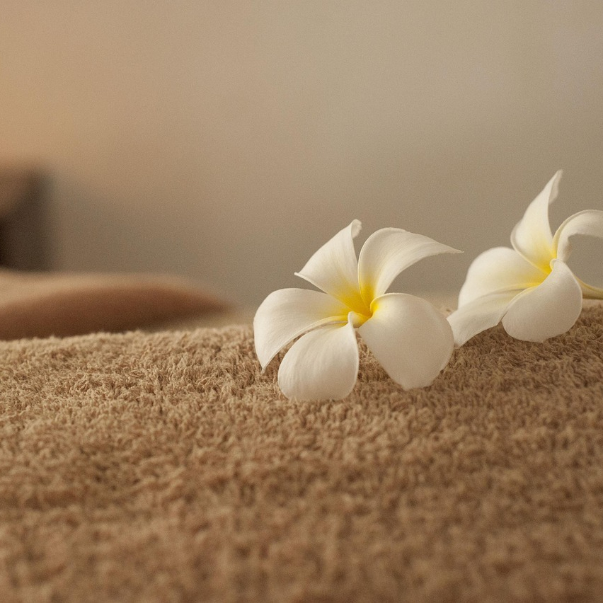 Forfait ayurvédique – accompagnement global (10 séances)