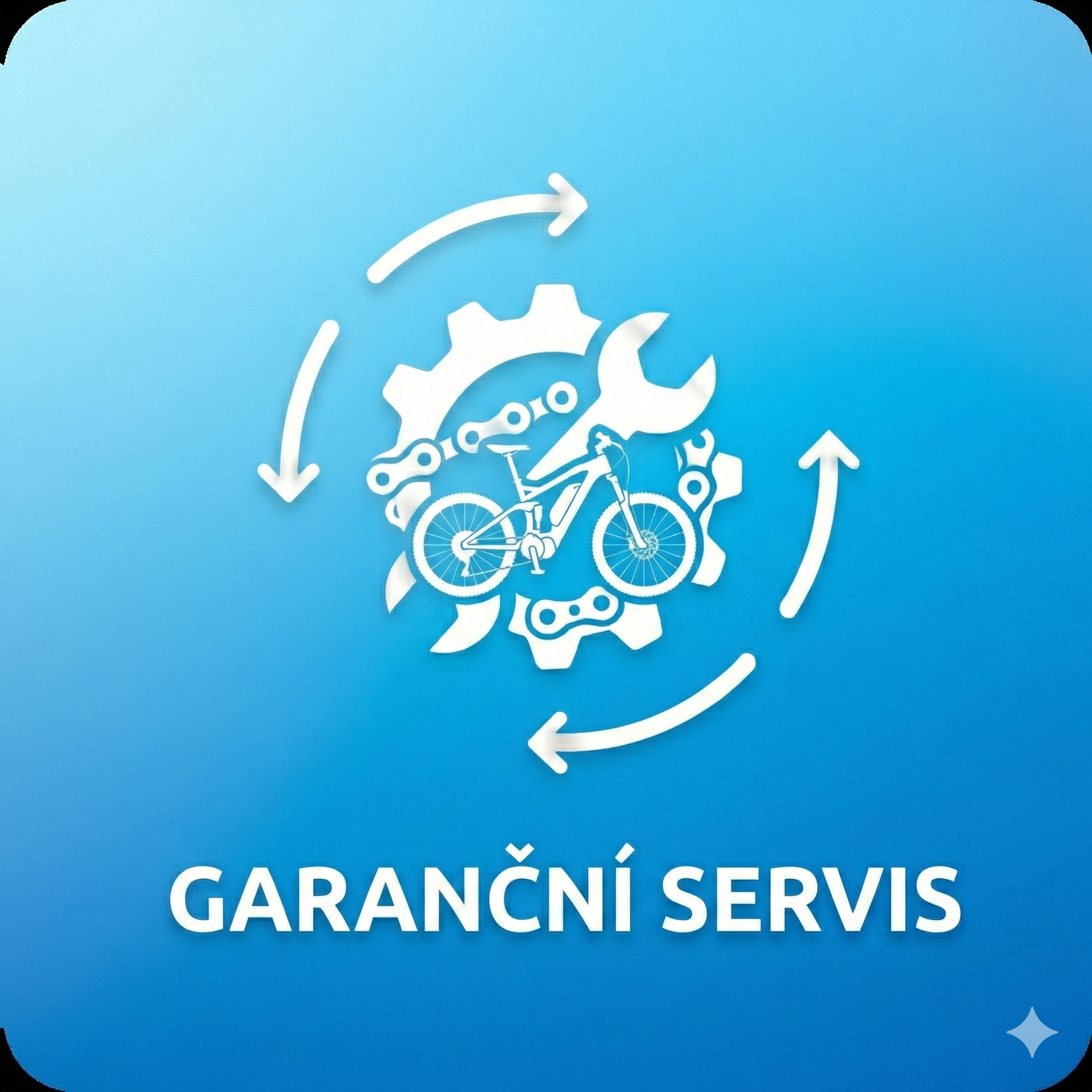 Garanční servis (placená varianta)