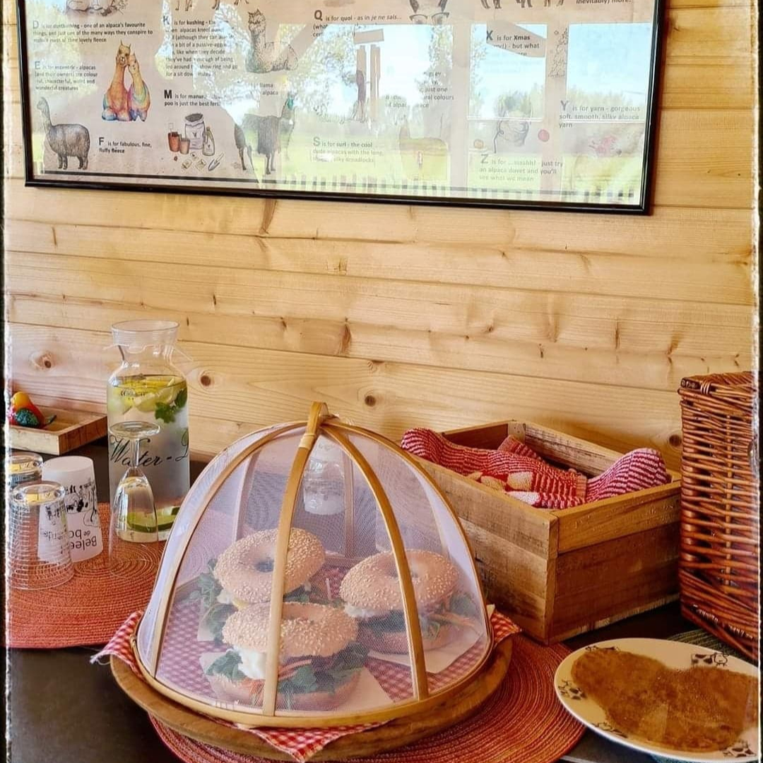 Basis picknick ( max 12 personen)